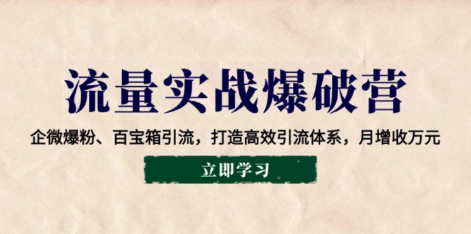 （14039期）流量实战爆破营：企微爆粉、百宝箱引流，打造高效引流体系，月增收万元_生财有道创业项目网-生财有道