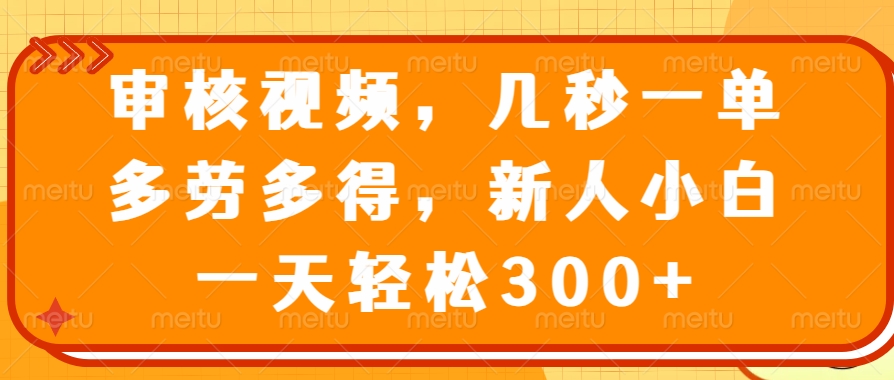 （14294期）审核视频，几秒一单，多劳多得，新人小白一天轻松300+_生财有道创业项目网-生财有道