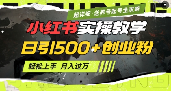 2月小红书最新日引500+创业粉实操教学【超详细】小白轻松上手，月入1W+，附小红书养号起号SOP——生财有道创业项目网-生财有道
