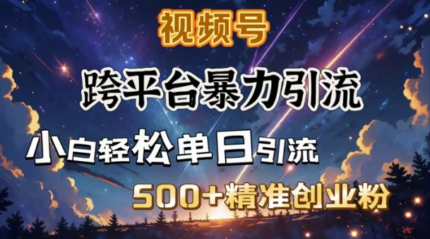 跨平台暴力引流，私域完美闭环，日引500+精准创业粉——生财有道创业项目网-生财有道