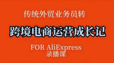 跨境电商速卖通运营课，​运营方法论+后台实操，逻辑清晰——生财有道创业项目网-生财有道