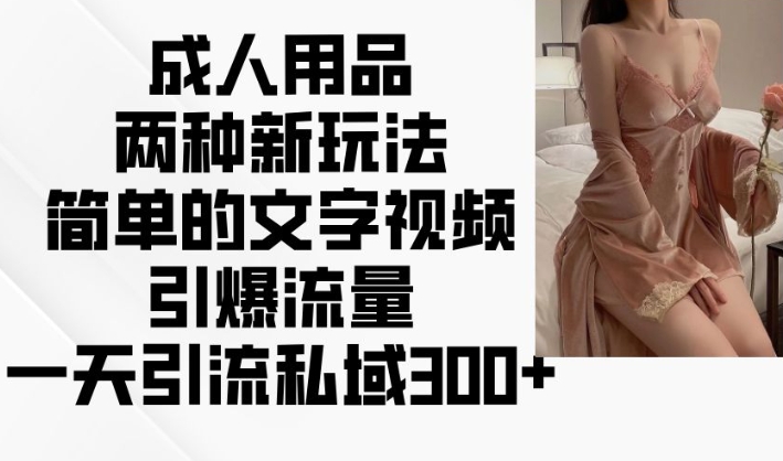成人用品两种新玩法，简单的文字视频引爆流量，一天引流私域300+——生财有道创业项目网-生财有道