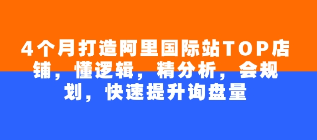 4个月打造阿里国际站TOP店铺，懂逻辑，精分析，会规划，快速提升询盘量——生财有道创业项目网-生财有道