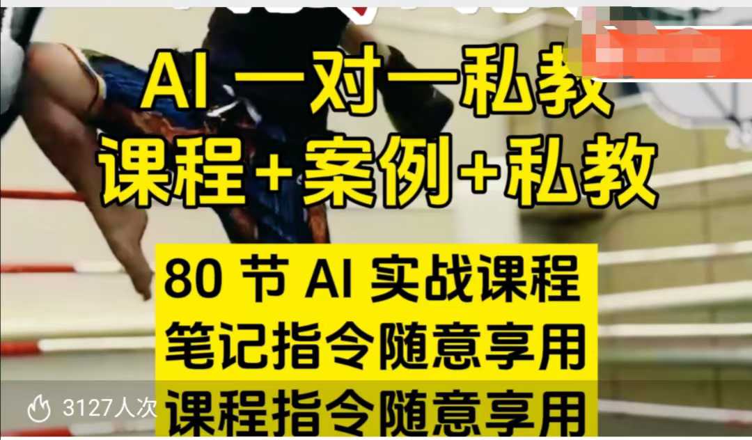AI指令实战课，课程+案例，80节AI实战课程，笔记指令随意享用，课程指令随意享用——生财有道创业项目网-生财有道
