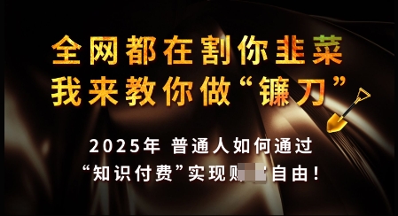 知识付费如何做到月入过W+，2025我来教你做“镰刀”【揭秘】——生财有道创业项目网-生财有道