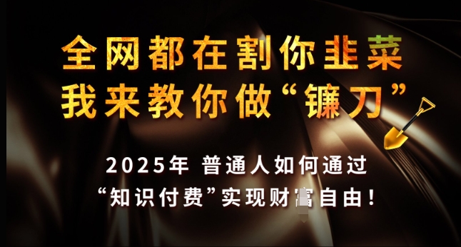 全网都在割你韭菜，我来教你做镰刀，2025年普通人如何通过 知识付费 实现财F自由【揭秘】——生财有道创业项目网-生财有道