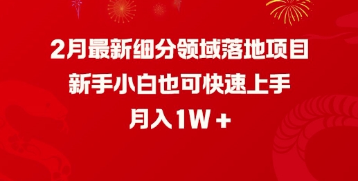 2月最新细分领域落地项目，新手小白也可快速上手，月入1W——生财有道创业项目网-生财有道