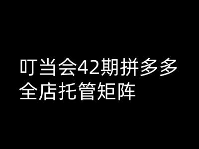 叮当会拼多多打爆班原创高阶技术第42期，拼多多全店托管矩阵——生财有道创业项目网-生财有道