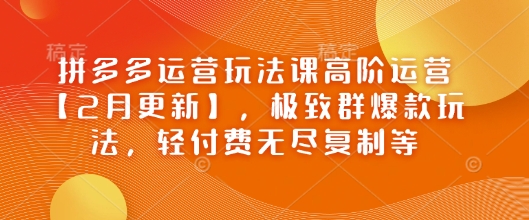 拼多多运营玩法课高阶运营【2月更新】，极致群爆款玩法，轻付费无尽复制等——生财有道创业项目网-生财有道