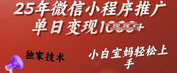 25年微信小程序推广单日变现多张，独家技术，小白宝妈轻松上手【揭秘】——生财有道创业项目网-生财有道
