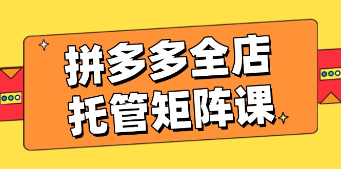 （14328期）拼多多全店托管矩阵课，盈利动销玩法，高效计划设置，提升店铺效益_生财有道创业项目网-生财有道