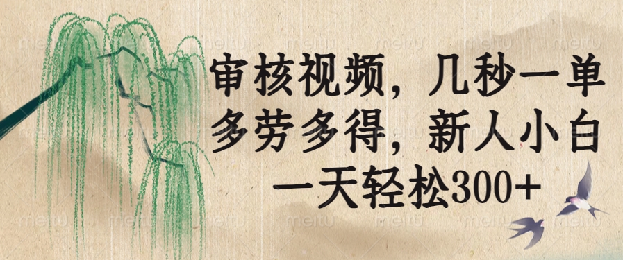 （14203期）审核视频，几秒一单，多劳多得，新人小白一天轻松300+_生财有道创业项目网-生财有道