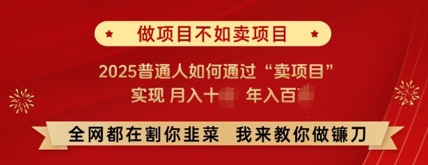必看，做项目不如卖项目，2025普通人如何通过“卖项目”实现月入十个，年入百个——生财有道创业项目网-生财有道