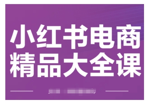 小红书电商精品大全课，快速掌握小红书运营技巧，实现精准引流与爆单目标，轻松玩转小红书电商——生财有道创业项目网-生财有道