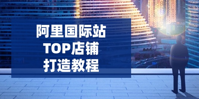 （14269期）阿里国际站TOP店铺打造教程：涵盖平台到高阶，解决运营难题，提升询盘_生财有道创业项目网-生财有道