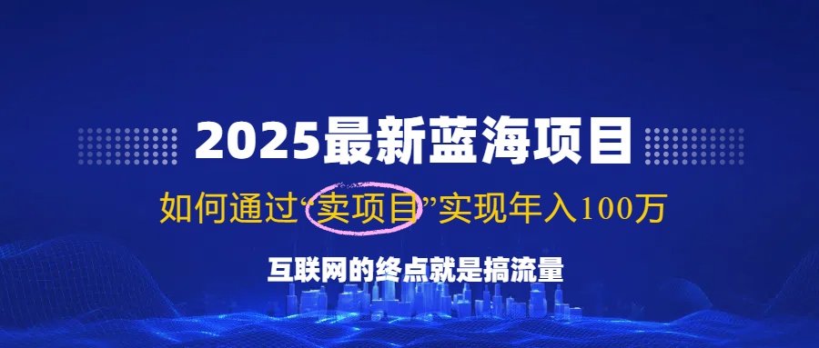 （14305期）2025最新蓝海项目，零门槛轻松复制，月入10万+，新手也能操作！_生财有道创业项目网-生财有道
