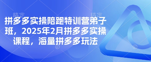 拼多多实操陪跑特训营弟子班，2025年2月拼多多实操课程，海量拼多多玩法——生财有道创业项目网-生财有道