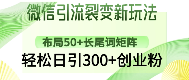 微信引流裂变新玩法：布局50+长尾词矩阵，轻松日引300+创业粉——生财有道创业项目网-生财有道
