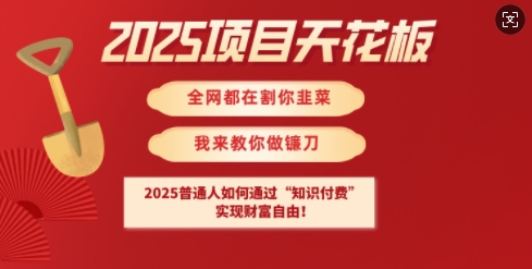 2025项目天花板普通人如何通过知识付费，实现财F自由【揭秘】——生财有道创业项目网-生财有道