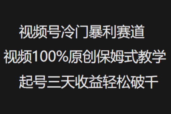 视频号冷门暴利赛道视频100%原创保姆式教学起号三天收益轻松破千——生财有道创业项目网-生财有道