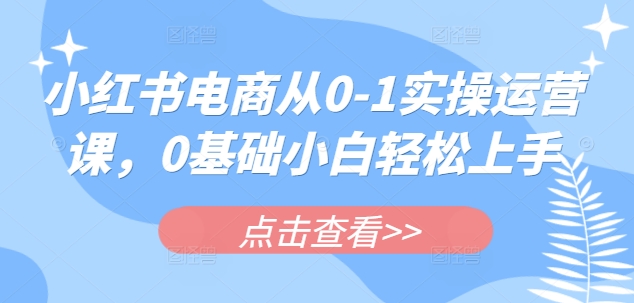 小红书电商从0-1实操运营课，0基础小白轻松上手——生财有道创业项目网-生财有道