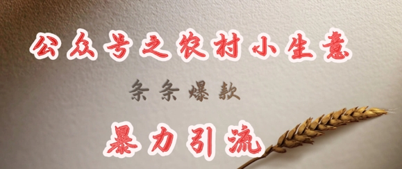 deepseek写农村小项目，条条爆款，暴力引流——生财有道创业项目网-生财有道