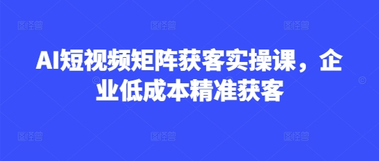 AI短视频矩阵获客实操课，企业低成本精准获客——生财有道创业项目网-生财有道