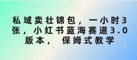 私域卖壮锦包，一小时3张，小红书蓝海赛道3.0版本， 保姆式教学——生财有道创业项目网-生财有道