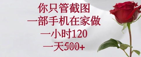 你只管截图，一部手机在家做，一小时120.一天5张【揭秘】——生财有道创业项目网-生财有道
