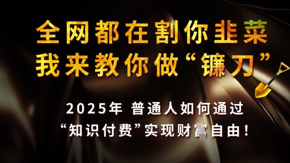 全网都在割你韭菜，我来教你做镰刀，2025普通人如何通过知识付费，实现财F自由【揭秘】——生财有道创业项目网-生财有道