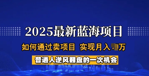 2025蓝海项目，普通人如何通过卖项目，实现月入过W，全过程【揭秘】——生财有道创业项目网-生财有道