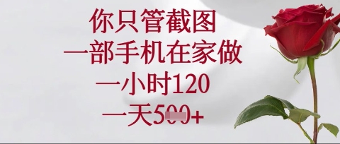 你只管截图，一部手机在家操作，一小时120.一天5张【揭秘】——生财有道创业项目网-生财有道