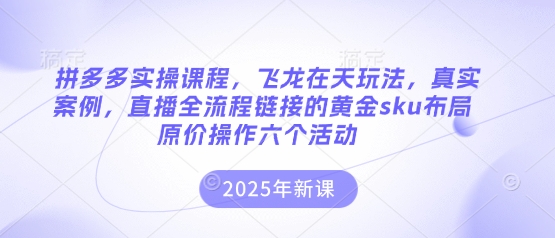 拼多多实操课程，飞龙在天玩法，真实案例，直播全流程链接的黄金sku布局原价操作六个活动——生财有道创业项目网-生财有道