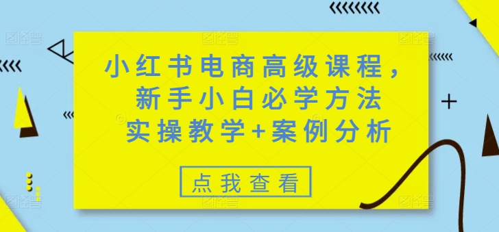 小红书电商高级课程，新手小白必学方法，实操教学+案例分析——生财有道创业项目网-生财有道