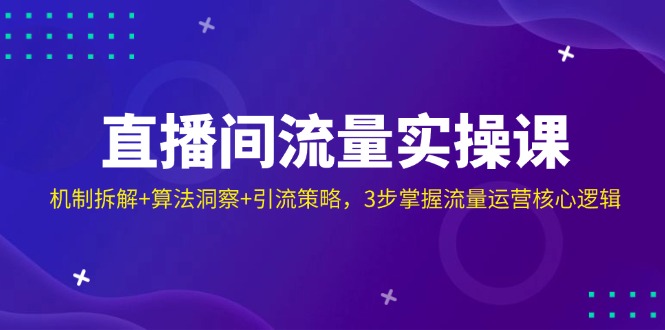 （14122期）直播间流量实操课：机制拆解+算法洞察+引流策略，3步掌握流量运营核心逻辑_生财有道创业项目网-生财有道