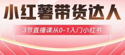 小红薯达人带货启航计划，3节直播课从0-1入门小红书——生财有道创业项目网-生财有道
