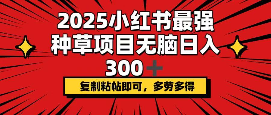 （14375期）2025小红书最强种草项目，无脑日入300+，复制粘帖即可，多劳多得_生财有道创业项目网-生财有道
