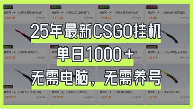 （14178期）25年最新CSGO挂机系统，单日1000+，无需电脑，无需养号，0基础可上手_生财有道创业项目网-生财有道
