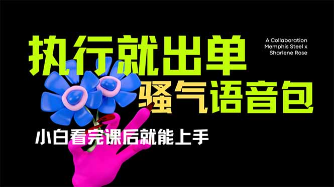 （14170期）爆火全网的开车导航骚气语音包,只要执行就出单，小白看完课程就能实操…_生财有道创业项目网-生财有道