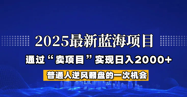 2025年蓝海项目，如何通过“网创项目”日入2000+_生财有道创业网-生财有道