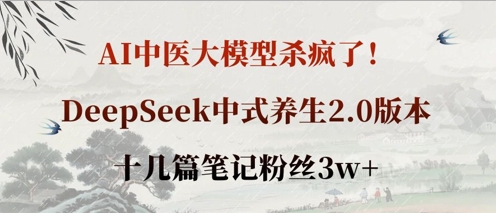 AI中医大模型杀疯了！DeepSeek中式养生2.0版本，十几篇笔记粉丝3w+——生财有道创业项目网-生财有道