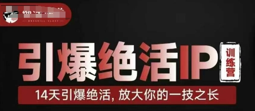 引爆绝活IP训练营，14天引爆绝活，放大你的一技之长——生财有道创业项目网-生财有道