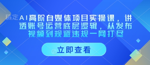 AI高阶自媒体项目实操课，讲透账号运营底层逻辑，从发布视频到规避违规一网打尽——生财有道创业项目网-生财有道