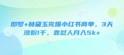 即梦+林黛玉完爆小红书商单，3天涨粉1千，靠怼人月入5k+——生财有道创业项目网-生财有道
