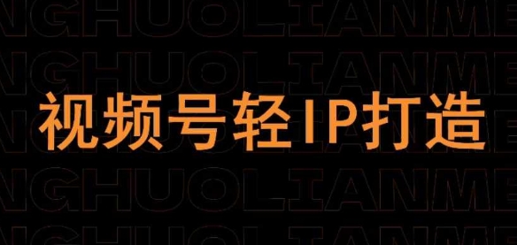 视频号线上课程，视频号轻IP打造——生财有道创业项目网-生财有道
