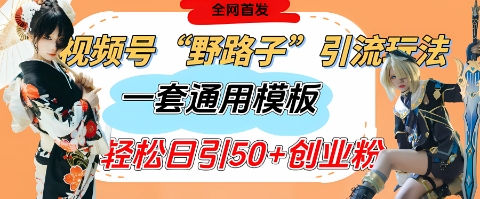 视频号“野路子”玩法，评论区疯狂截流，一套模板单日单号引流50+创业粉——生财有道创业项目网-生财有道