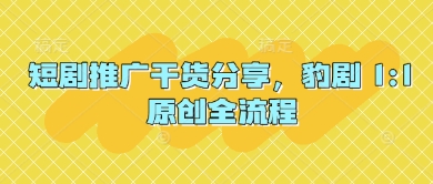 短剧推广干货分享，豹剧 1:1原创全流程——生财有道创业项目网-生财有道