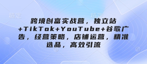 跨境创富实战营，独立站+TikTok+YouTube+谷歌广告，经营策略，店铺运营，精准选品，高效引流——生财有道创业项目网-生财有道