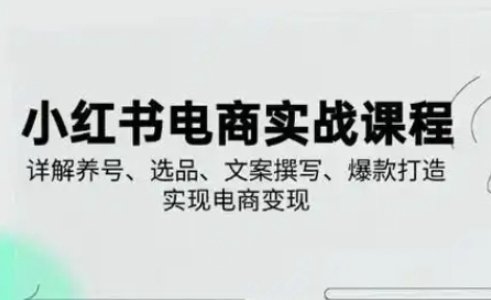 小红书从0-1实操课(2023-2025)，详解养号、选品、文案撰写、爆款打造实现电商变现——生财有道创业项目网-生财有道
