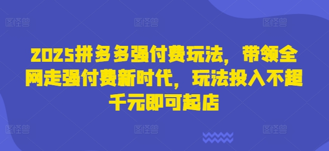2025拼多多强付费玩法，带领全网走强付费新时代，玩法投入不超千元即可起店——生财有道创业项目网-生财有道